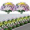 12 Bundles Artificial Pansy Flowers Indoor Outdoor Decor Mixed Color Silk Flowers for Window Box Porch Home Garden Wedding Farmhouse Decor